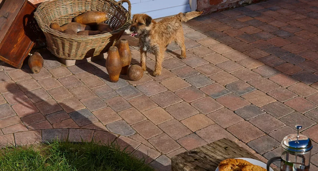 Ginestro_Quad_-_Niddstone1-eda5ca0f